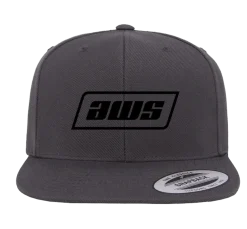 AWS 40yr Snapback