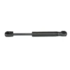 Glove Box Gas Shock (3193)