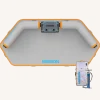 MISSION Reef Deck | Inflatable Swim Platform + Lounger
